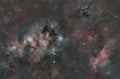 The Cave Nebula (Sh2-155)